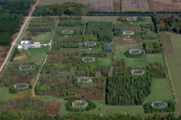 field site