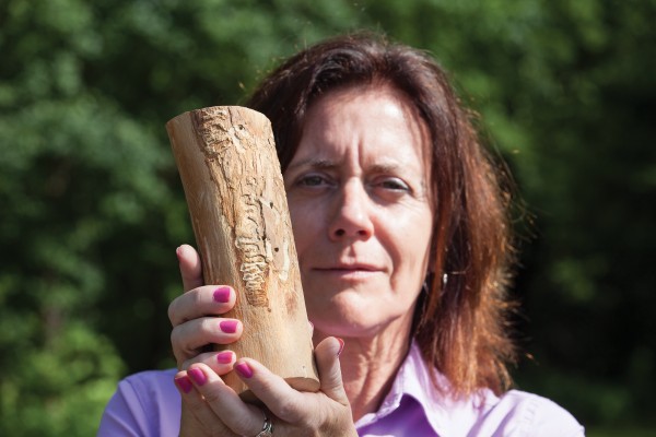 EAB, Emerald Ash Borer, Oak Creek Urban Forester Rebecca Lane, Wisconsin, July 2014