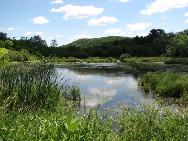 pond in KWR