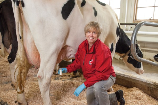 PAMELA L RUEGG E-mailplruegg@wisc.edu Title PROFESSOR Division COLLEGE OF AGRICULTURAL & LIFE SCIENCES Department DAIRY SCIENCE Unit DAIRY SCIENCE-GEN Mailing address 282 Animal Science Building 1675 Observatory Dr Madison, WI 53706