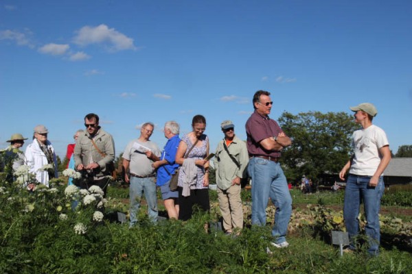 Julie Dawson veggie field day