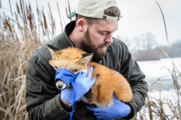 Mueller with fox