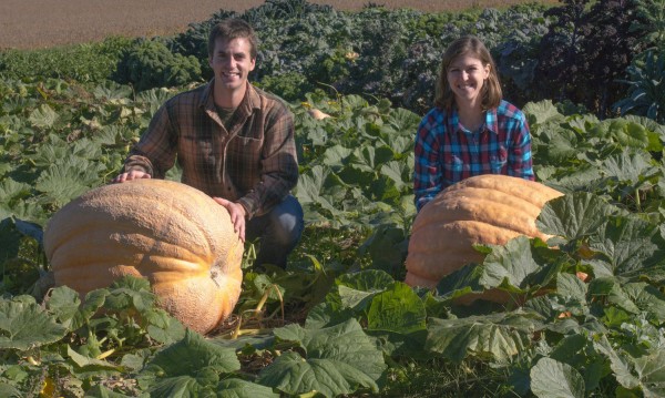 Giant pumpkins and students crop