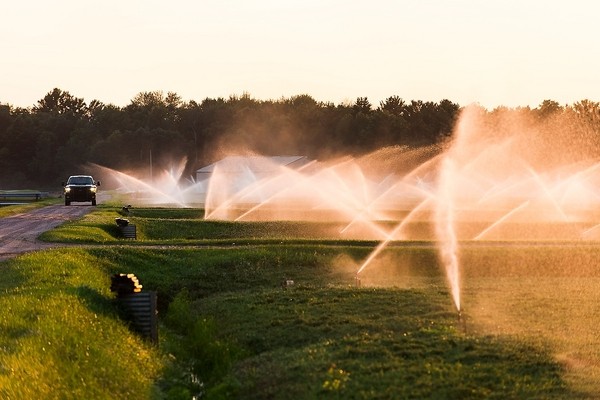 An irrigation system waters mid-season cranberry marshes
