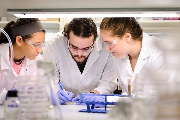 undergrads in lab