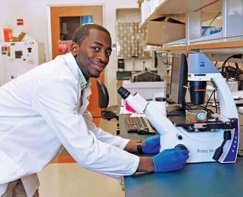 Keven Stonewall microscope