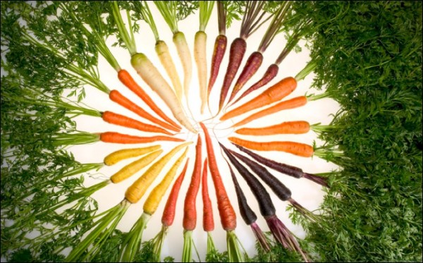 Carrot color arrangement