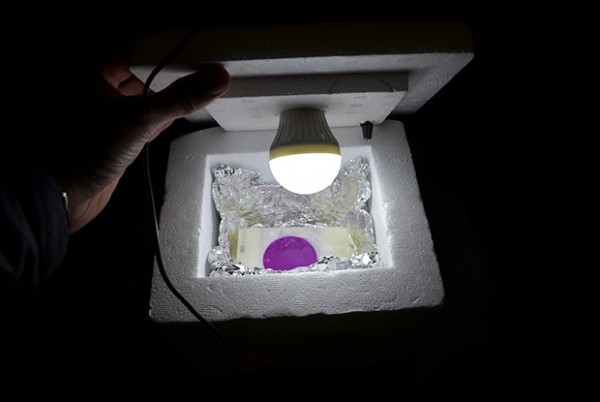 incubator
