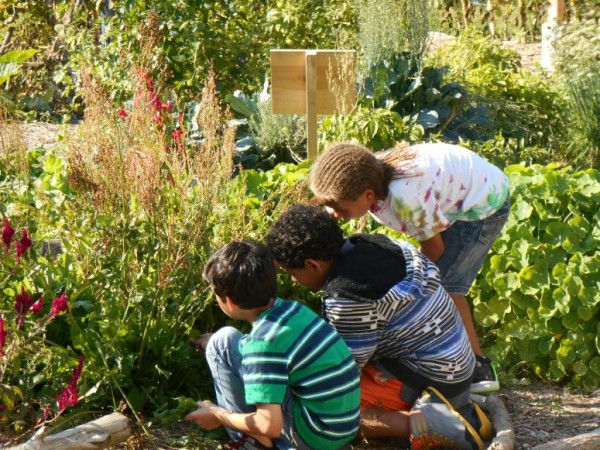kids in garden