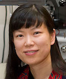 lingjunli
