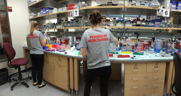 Minogue_Wilkerson_lab