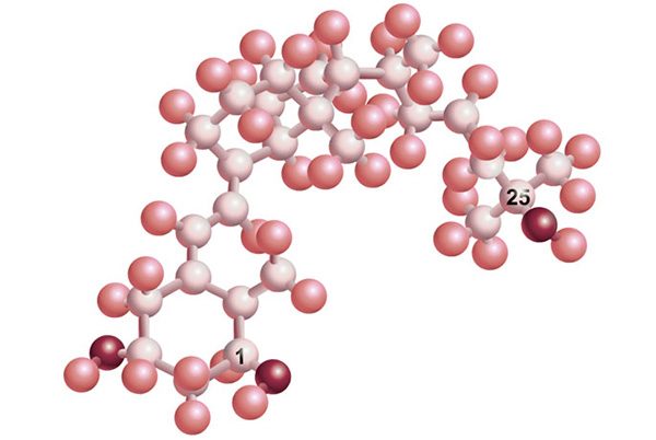 vitamin d structure
