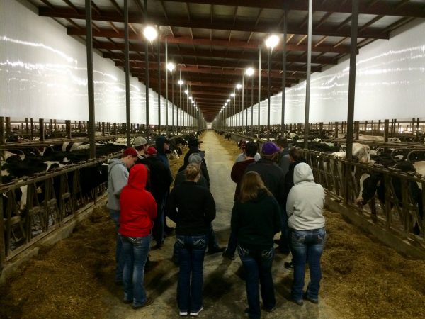 FISC Milk Source