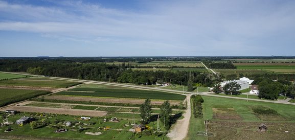 Hancock