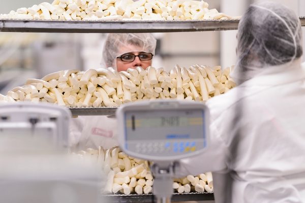 Staff at Chula Vista Cheese Company package a batch of Oaxaca-style string cheese at their food-processing facility in Browntown, Wis., on Dec. 27, 2016. Chula Vista Cheese created the successful, Oaxaca-style of string cheese with the consulting and test-batch help of the Center for Dairy Research at the University of Wisconsin-Madison. (Photo by Jeff Miller/UW-Madison)