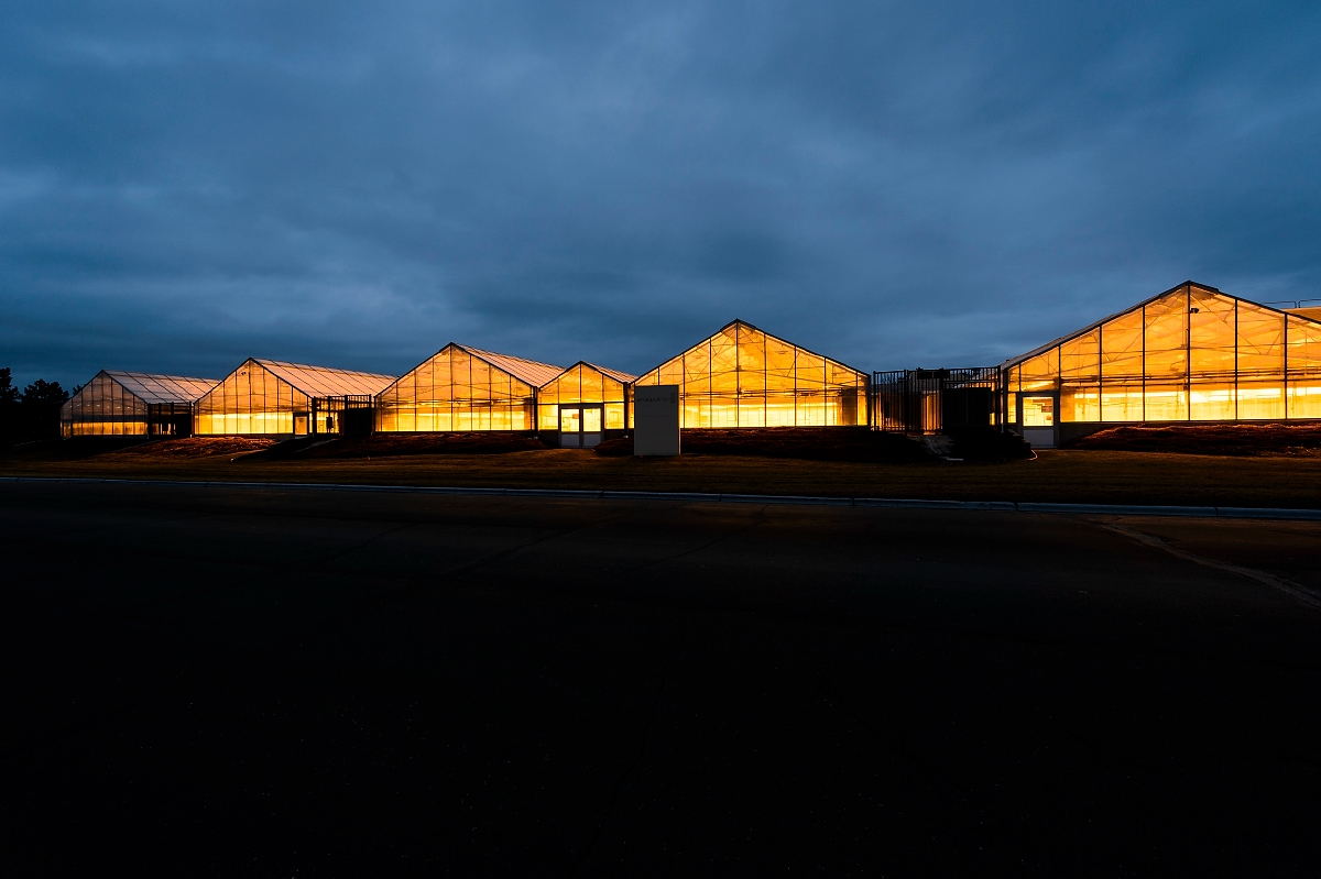 Greenhouse lights glow in the dusk sky at the Wisconsin Crop Innovation Center (WCIC) at the University of Wisconsin-Madison on Jan. 23, 2017. The agricultural research facility is location in Middleton, Wis., just west of Madison. (Photo by Jeff Miller/UW-Madison)