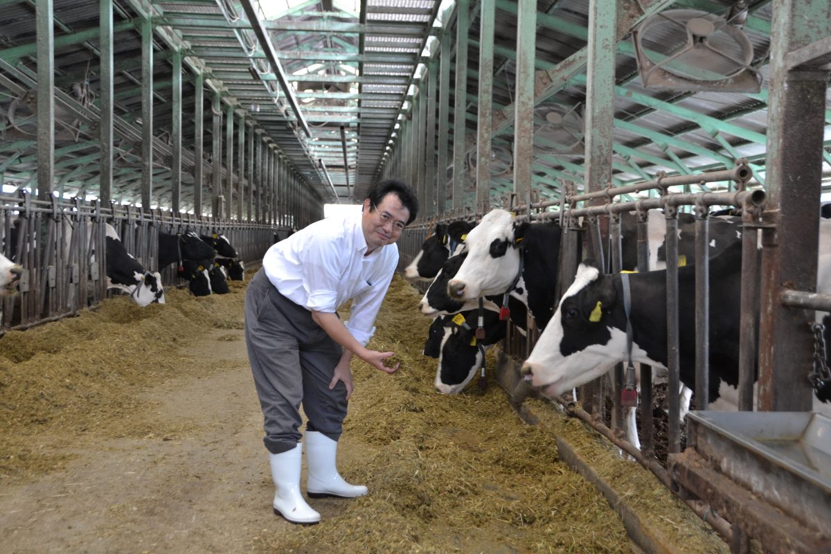 Alumnus shares Wisconsin ag expertise with Japanese dairy farms CALS News