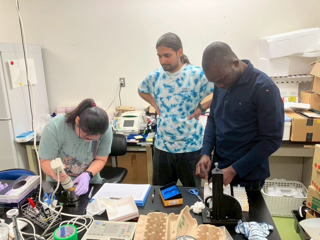 A student conducting research in a lab